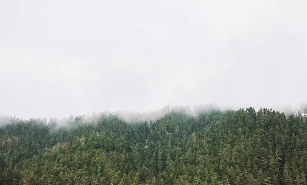 Viaggio sulle autostrade slovacche