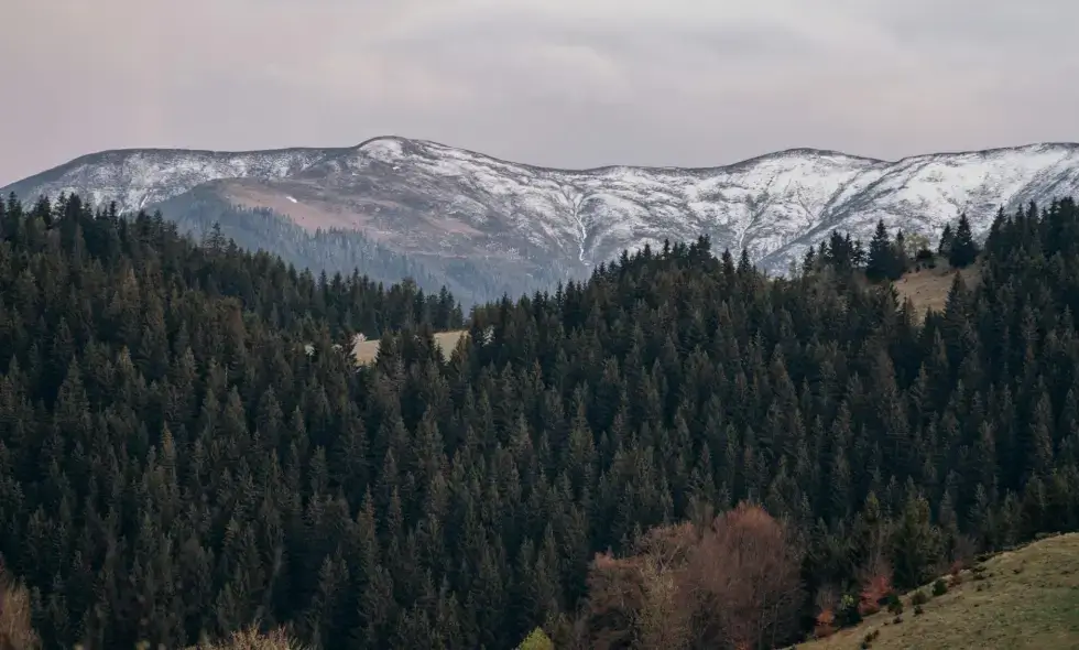Ghid pentru achiziționarea vignetei și sfaturi de călătorie în România