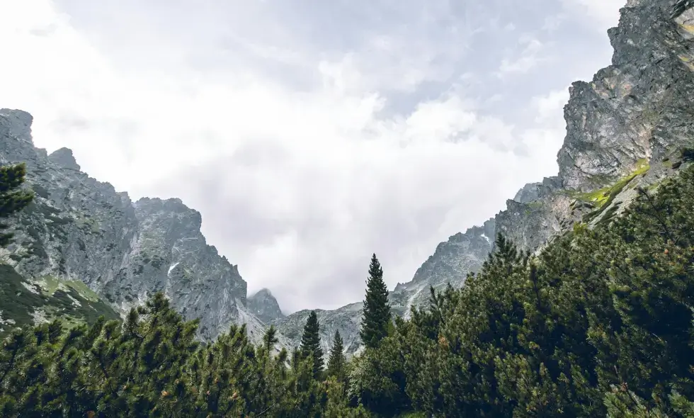 Avtoceste Slovaške in njihovi dostopni cilji
